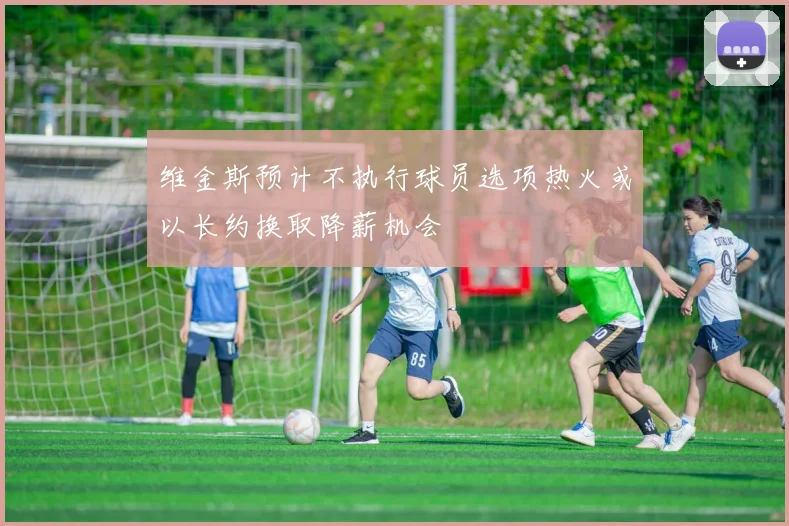 维金斯预计不执行球员选项热火或以长约换取降薪机会